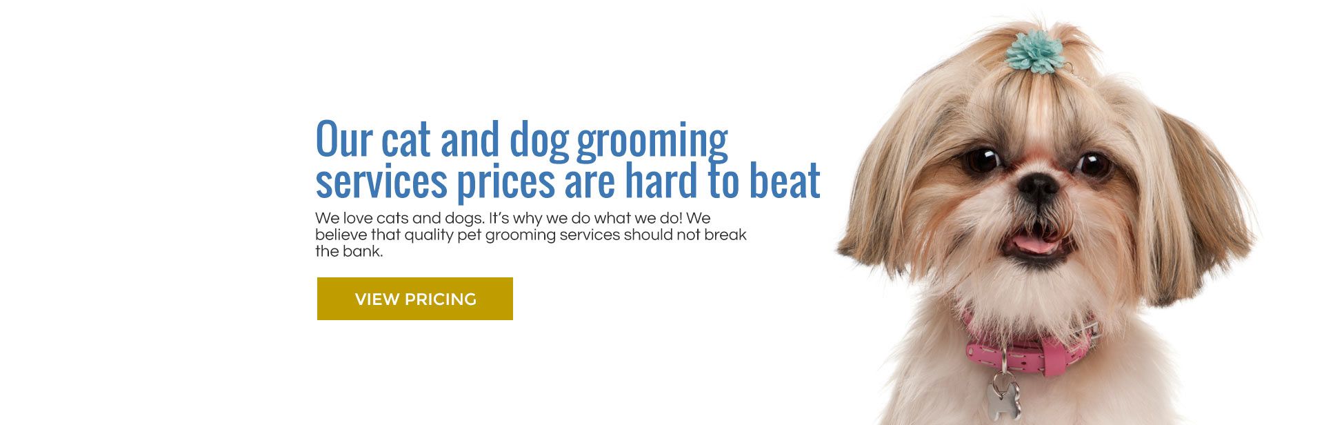 Affordable grooming services for cats and dogs