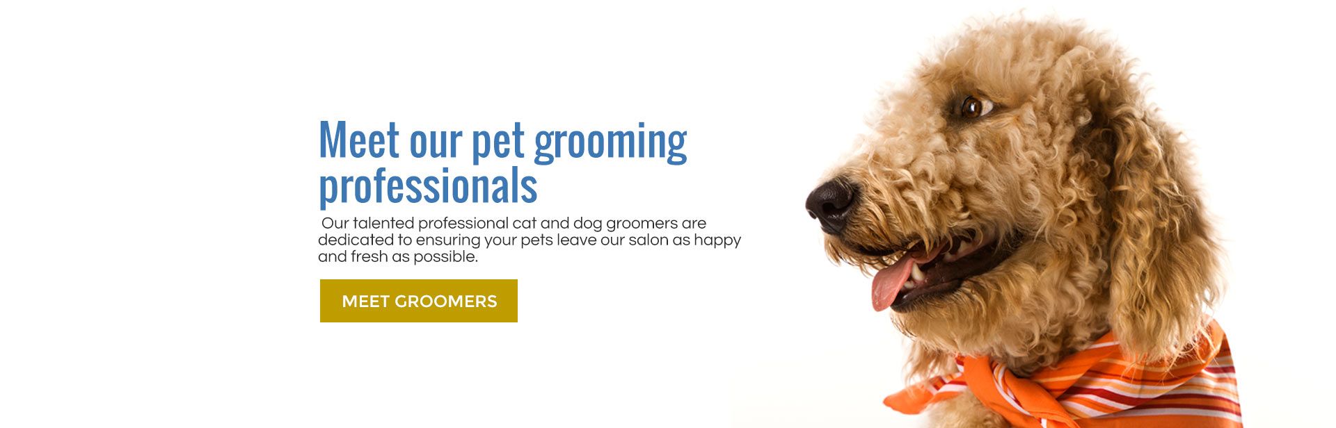 Meet our talented groomers